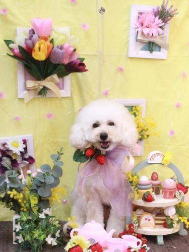 20230318ラテくん